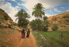 beni abbes  (14)